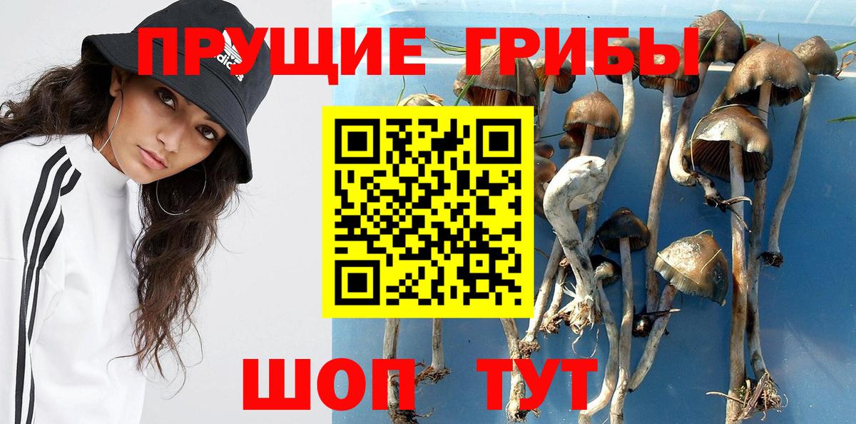 Лосино-Петровский  Галлюциногенные грибы Psilocybe  Вход с VPN 